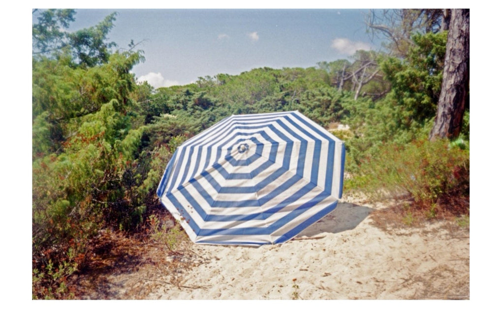 The Abandoned Umbrella Canvas