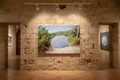 The Abandoned Umbrella — Torre Sulis